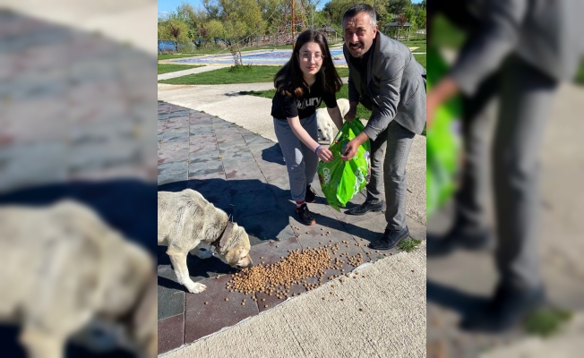 Sokak hayvanları için kenttin dört bir noktasına mama bıraktı