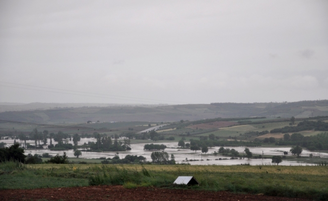 Sular altında kalan tarım alanlarında hasar tespiti başladı
