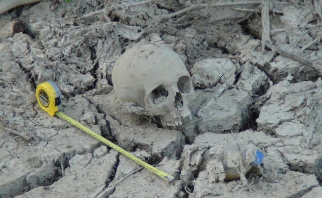  Sürmeye hazırlandığı tarlasında kafatası buldu