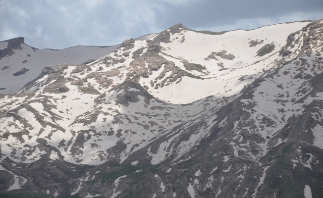 Ülkedeki göçerler Şırnak yaylalarına akın ediyor