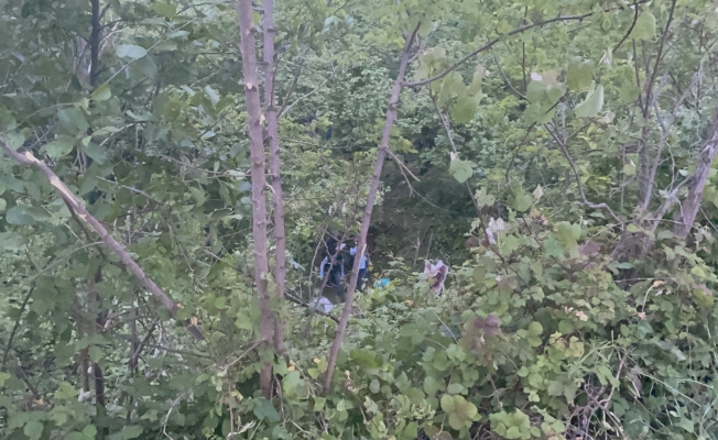 Virajı alamayan araç dereye uçtu: 2 ölü