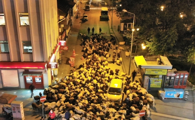 Yüzlerce koyun şehir merkezinden geçti