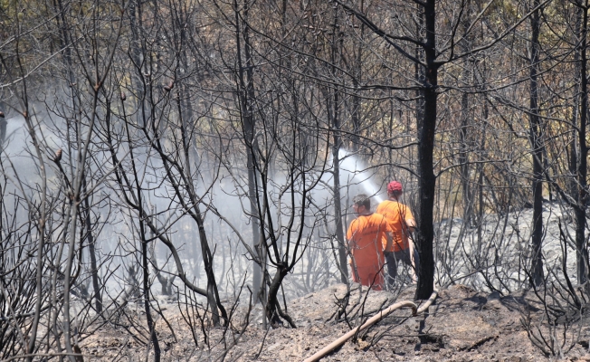 Alanya'da çıkan orman yangını ekiplerin müdahalesiyle söndürüldü