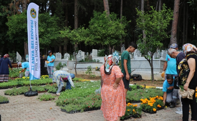 Bayramda 31 mezarlıkta ücretsiz çiçek dağıtılacak