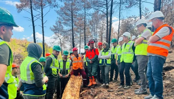 Mesleki eğitim Alanya Orman’da devam ediyor