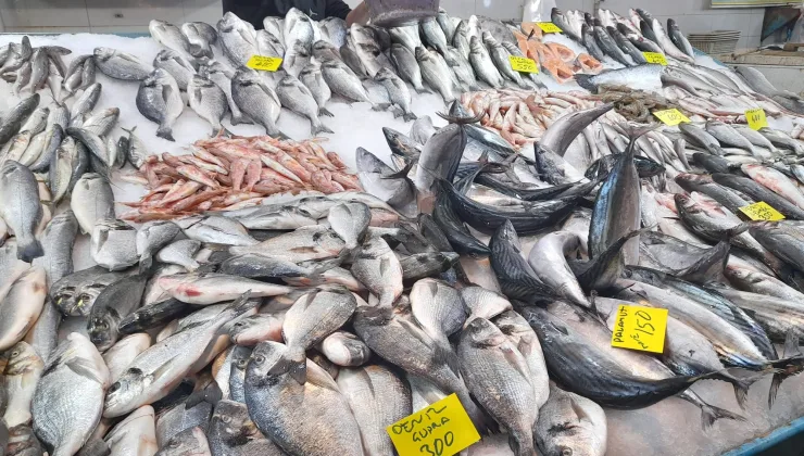 Alanya’da balık tezgâhları denetlendi