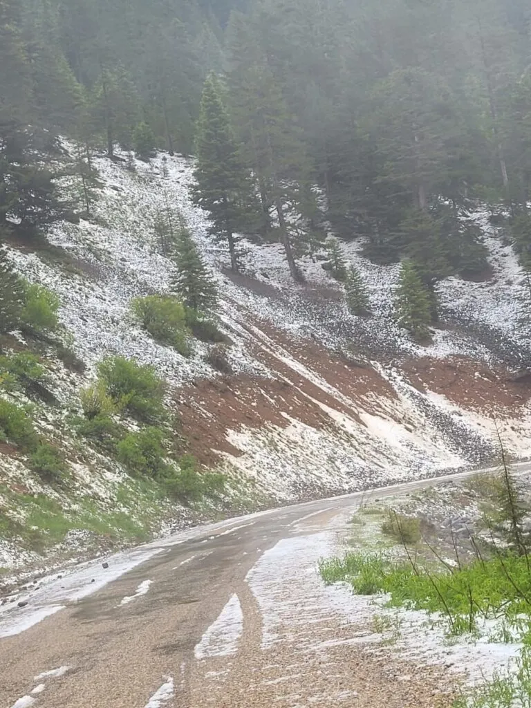 Alanya’da gece saatlerinde başladı! Yaylalar beyaza büründü