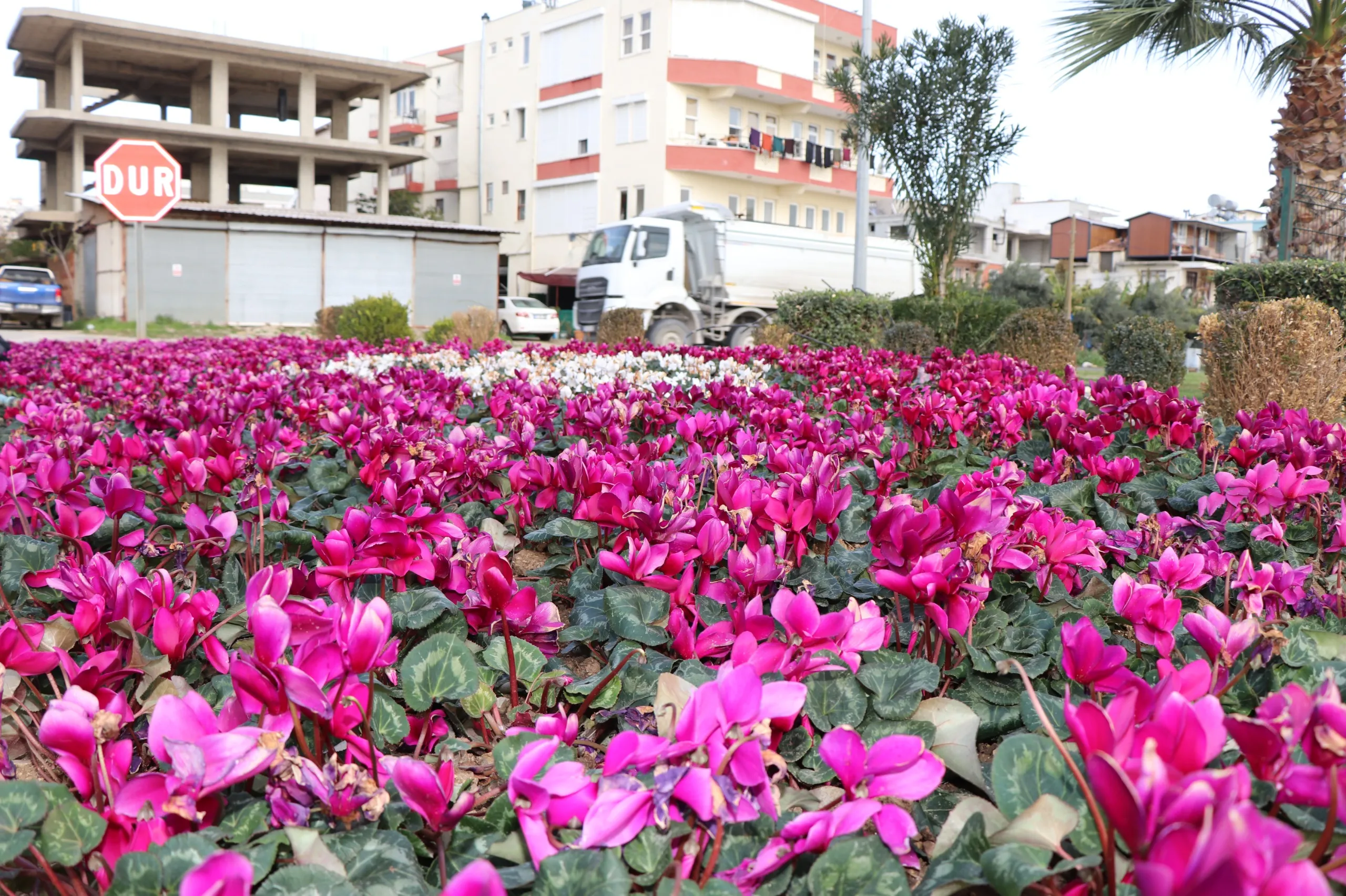 Alanya’da park ve bahçelerde kışın kesintisiz çalışma