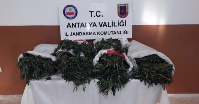 28 kilo esrar ele geçirildi