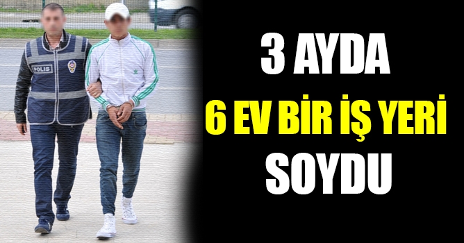 3 ayda 6 ev bir iş yeri soydu