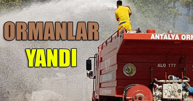 3 ayrı noktada yangın 