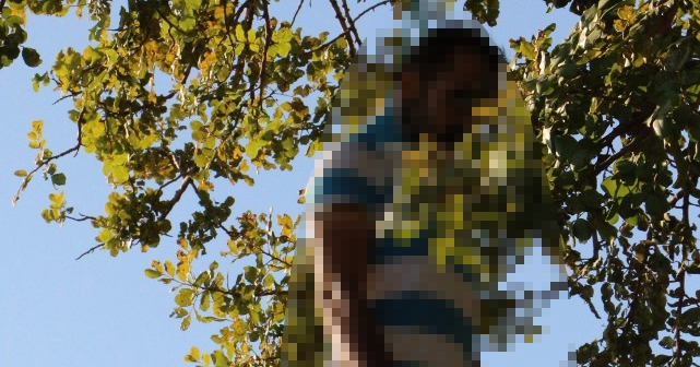  Ağaçta Asılı Halde Bulundu