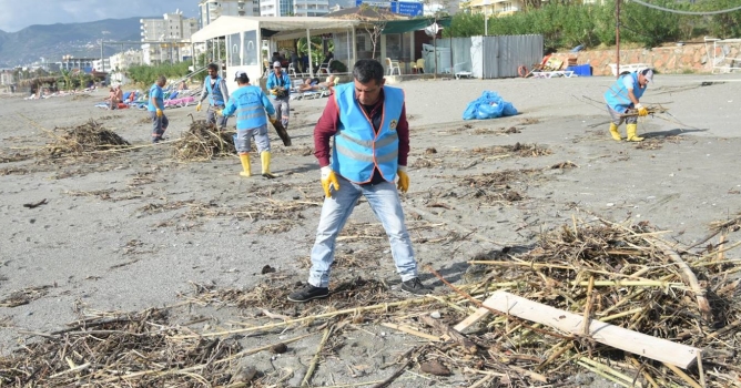  Alanya Belediyesi  sahilleri temizliyor