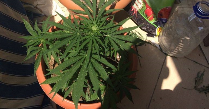 Alanya'da uyuşturucu operasyonu 