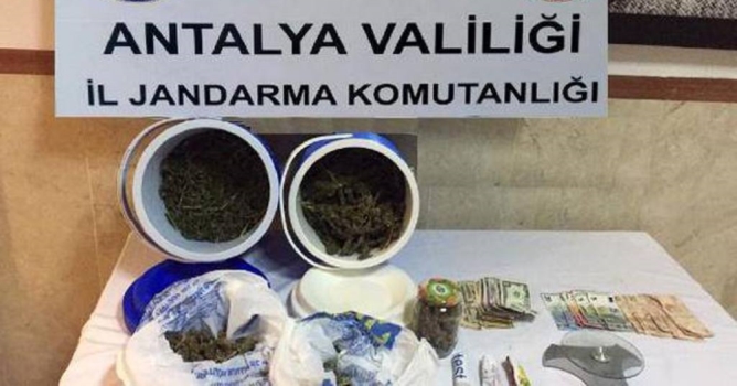 Alanya'da ve Manavgat'a uyuşturucu baskını