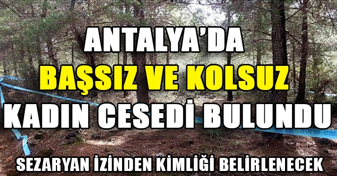 Antalya'da Başsız ve kolsuz kadın cesedi bulundu