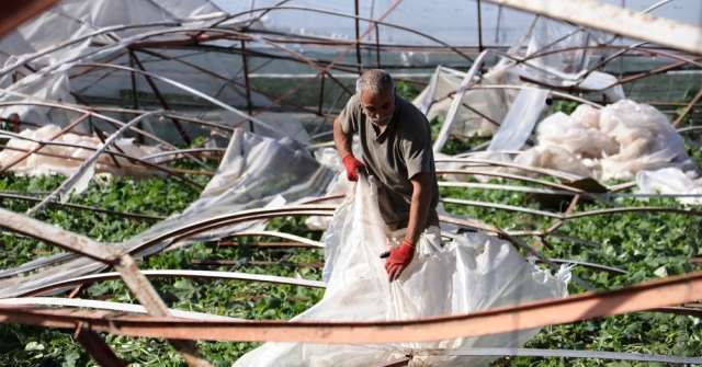 Antalyalı çiftçiler yaralarını sarıyor 