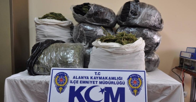 Araçtan 20 kilo esrar çıktı