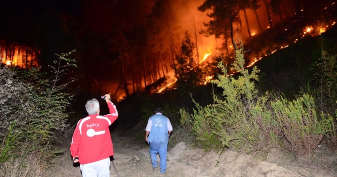 Aynı gece 5 ayrı orman yangını çıktı 