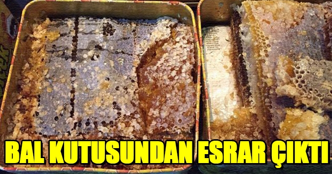 Bal kutusundan esrar çıktı