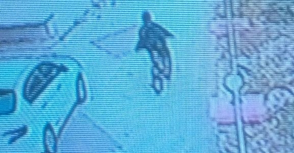 Bisiklet hırsızı kameralara yakalandı