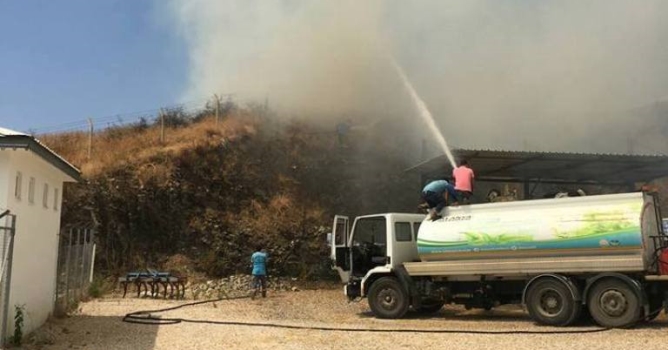 Çalı yangını korkuttu
