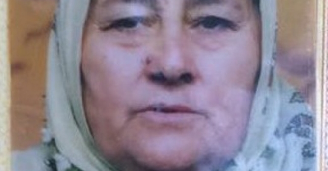 Ceviz toplarken yere düşen kadın öldü