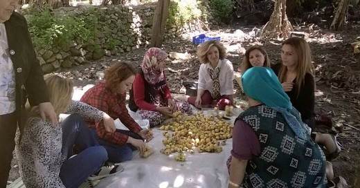 CHP'li kadınlardan seçim çalışması