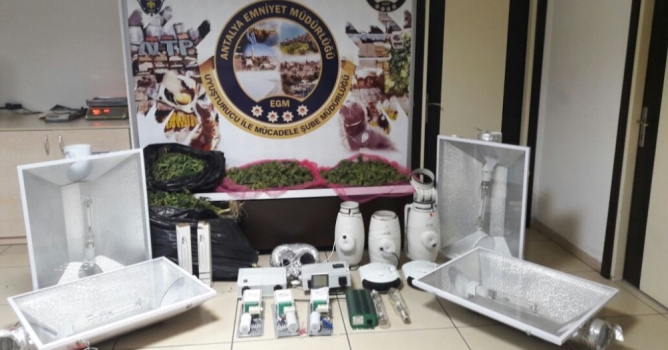 Daireyi uyuşturucu serasına çevirdiler