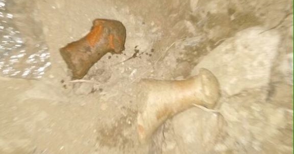 Define avcılarına suçüstü