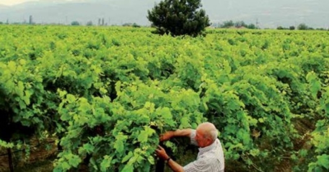  Duvardan düşen kadın yaralandı