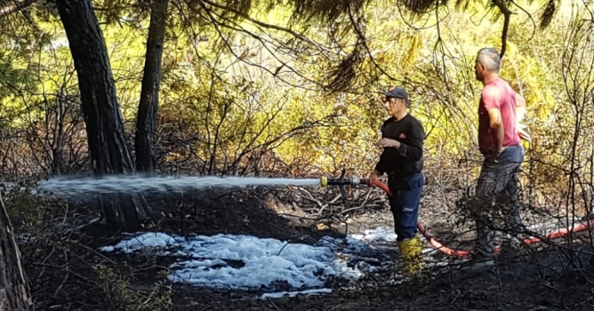 Eline ağaç dalını alan alevlere koştu