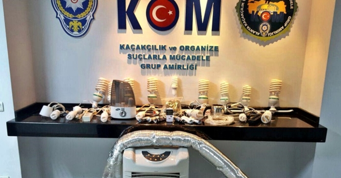 Evde uyuşturucu serası kurmuşlar