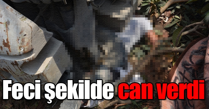 Feci şekilde can verdi