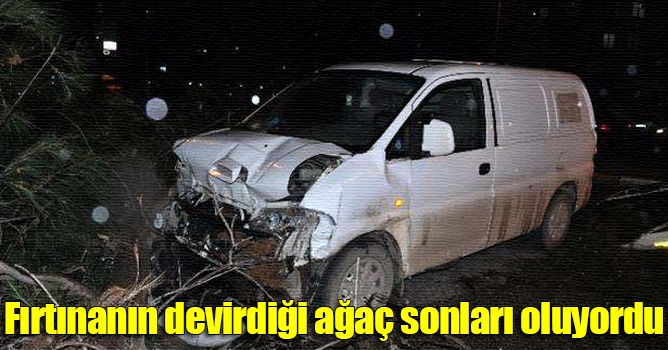 Fırtınanın devirdiği ağaç sonları oluyordu