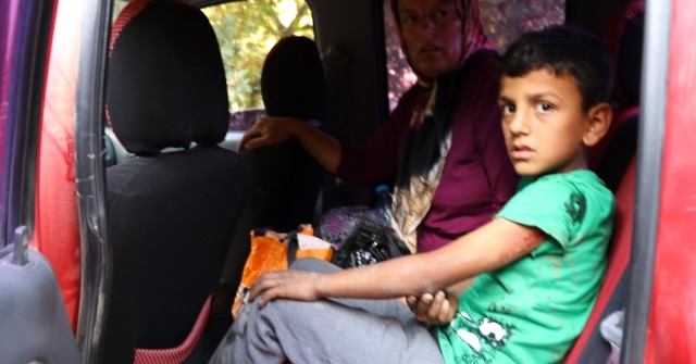 Gazipaşa'da köpek saldırısı