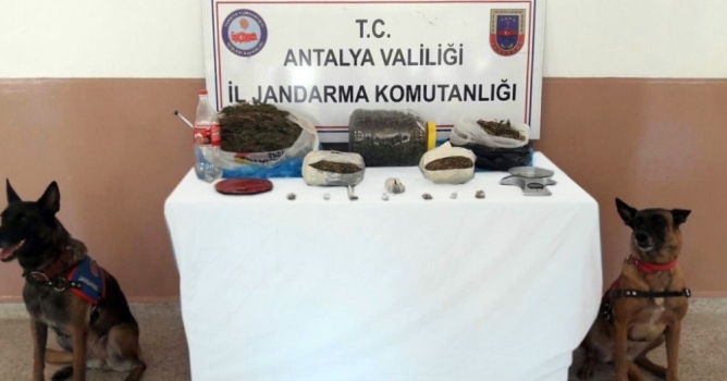 Gazipaşa'da uyuşturucu operasyonu