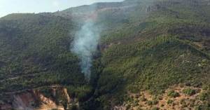 Hacımehmetli'de orman yandı