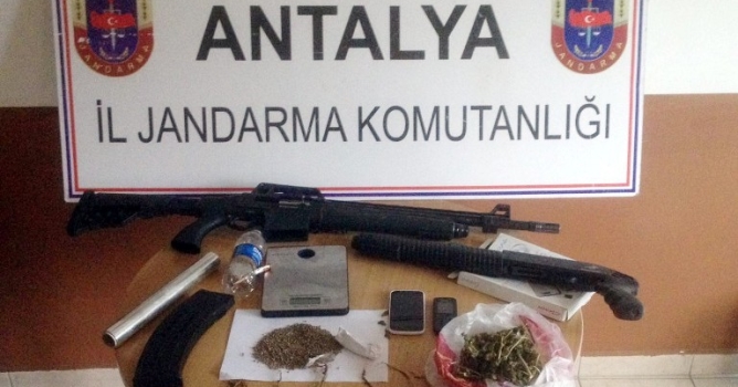 Jandarmadan uyuşturucu operasyonu 