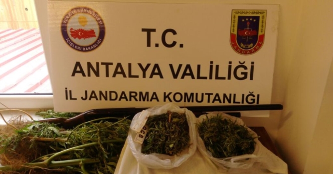 Jandarmadan uyuşturucu operasyonu