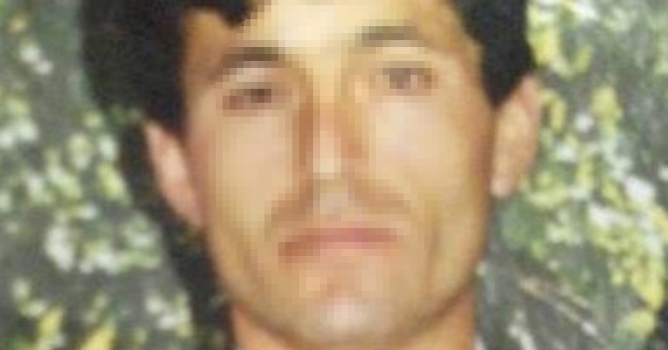 Kestiği ağacın altında can verdi