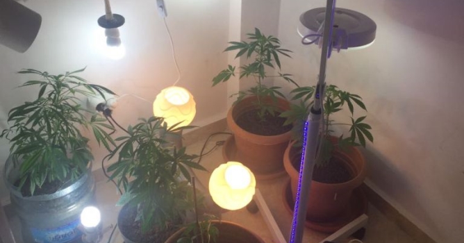 Lüks villaya uyuşturucu baskını 