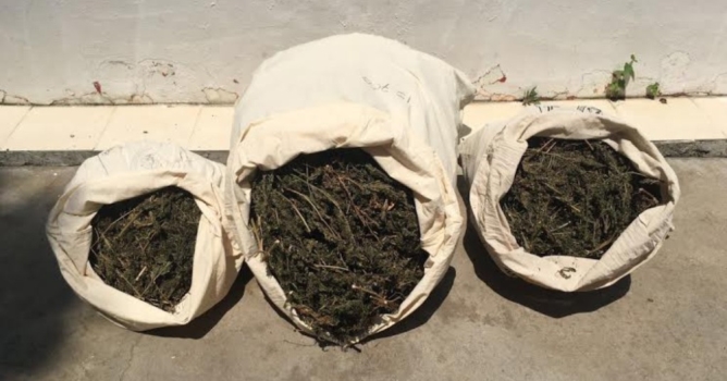 Nar bahçesinde uyuşturucu ele geçirildi