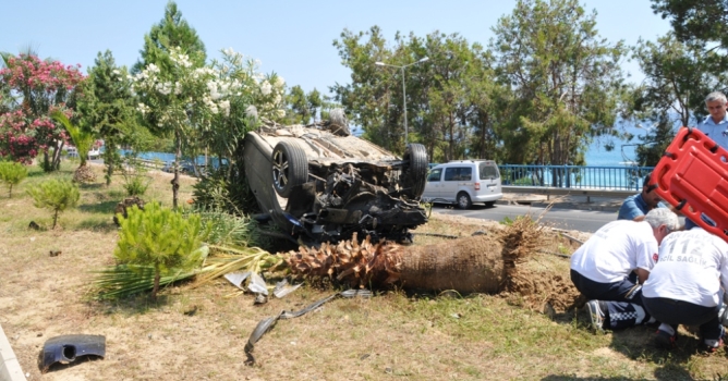 Otomobil muz ağacına çarptı: 1 yaralı