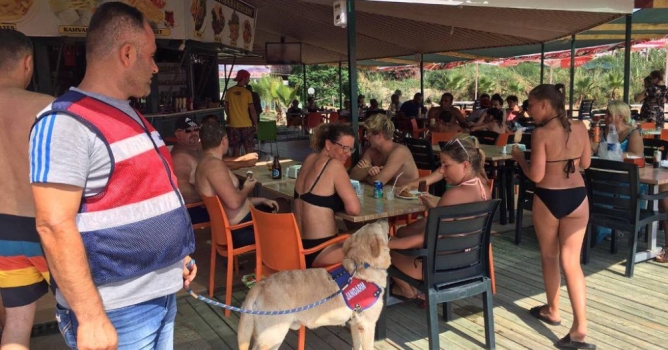 Plajlarda bomba arama köpeği ve narkotik köpekli uygulama 