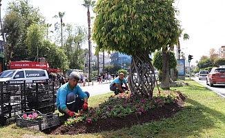 Alanya Belediyesi şehri çiçek bahçesine çevirdi 