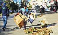 Alanya Belediyesi fırtına sonrası şehri temizliyor