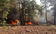 Orman yangını devam ediyor