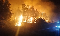  Manavgat'ta orman yangını