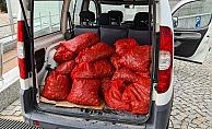 Kaçak yollarla avlanan 400 kilogram midye denize bırakıldı